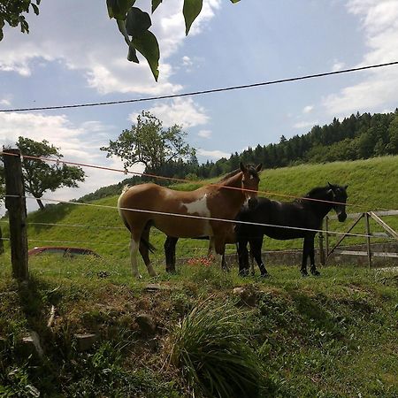 Bed And Breakfast Spelca Pivka Εξωτερικό φωτογραφία